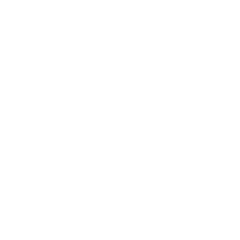 BNR Final Logo-01-05